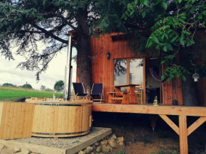 Cabane Pilotis Bain Nordique